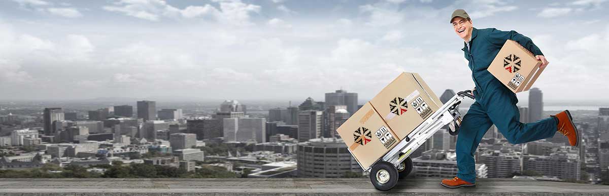 Bringing Hearts Closer: Sending Rakhi and Gifts Overseas with International Courier Services