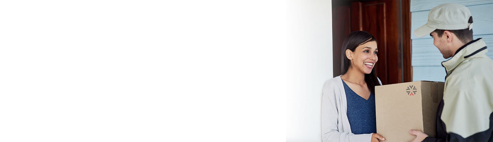 Artemis - Banner
