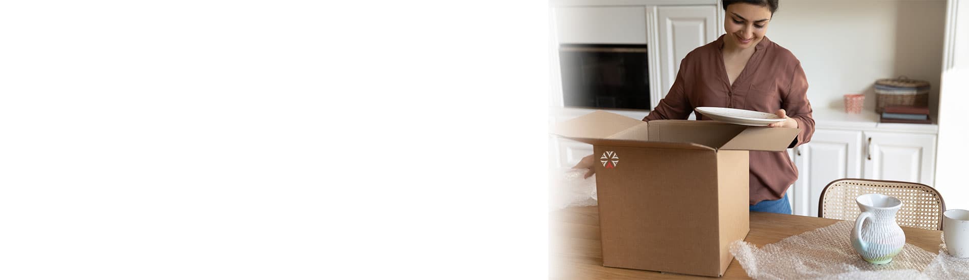 Artemis - Banner