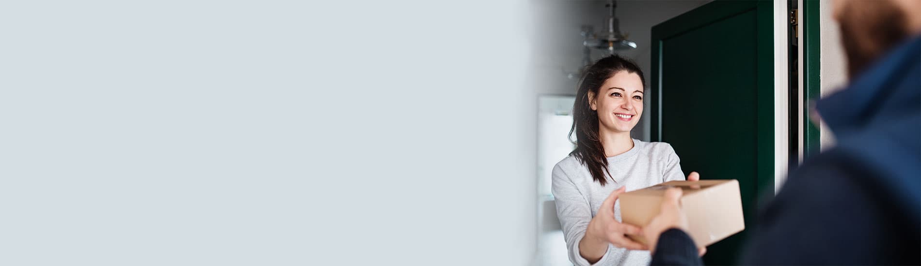 Artemis - Banner