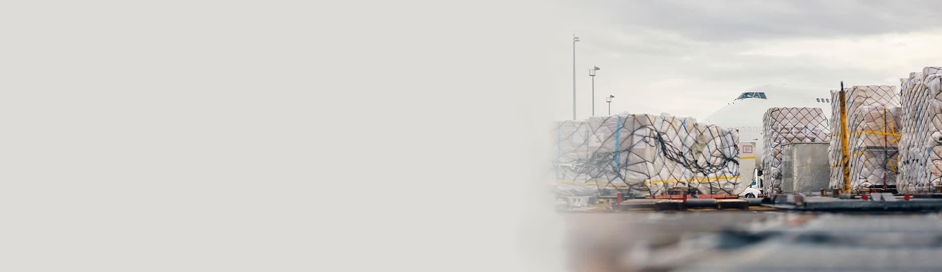 Artemis - Banner
