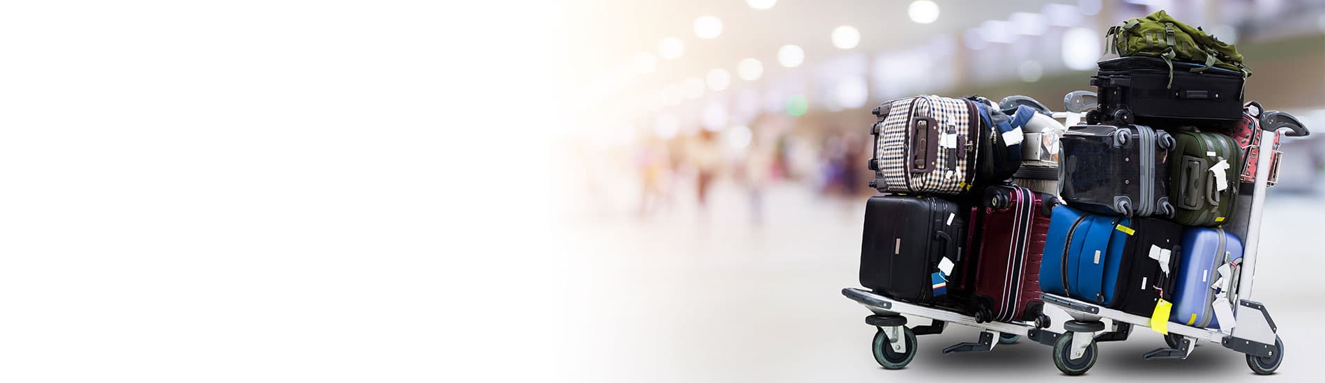 Artemis - Banner
