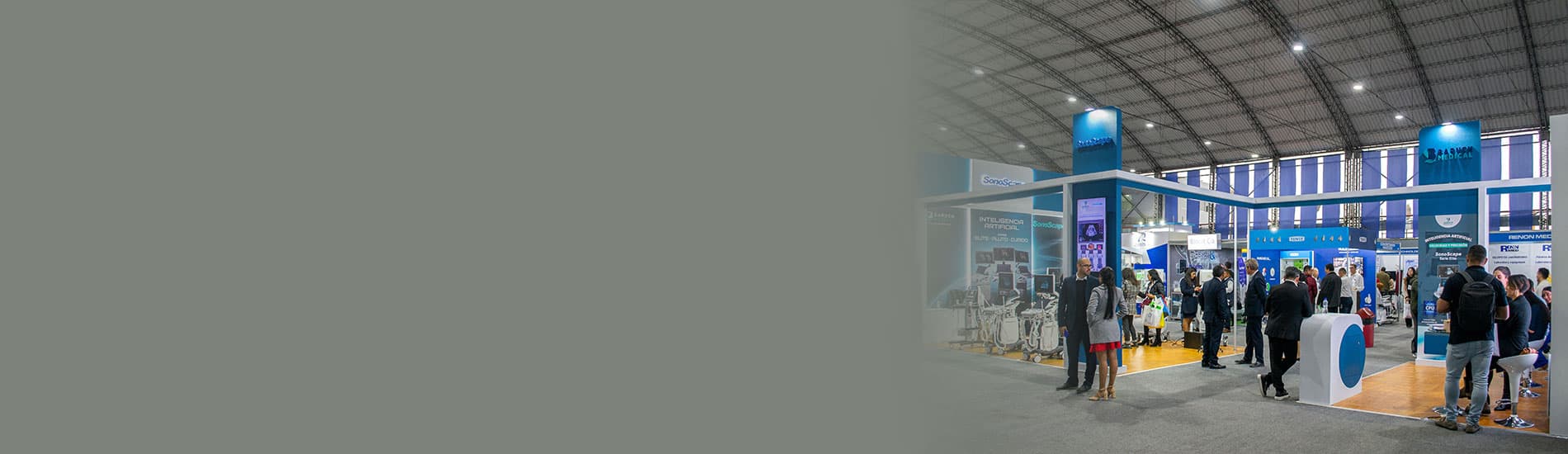 Artemis - Banner