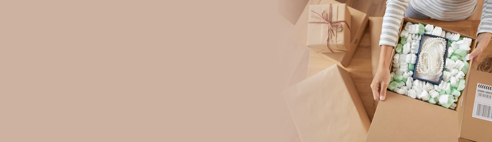 Artemis - Banner