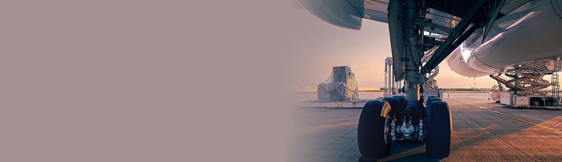 Artemis - Banner